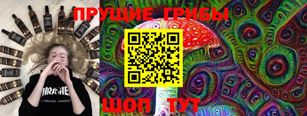 Псилоцибиновые грибы Psilocybine cubensis Красный Сулин