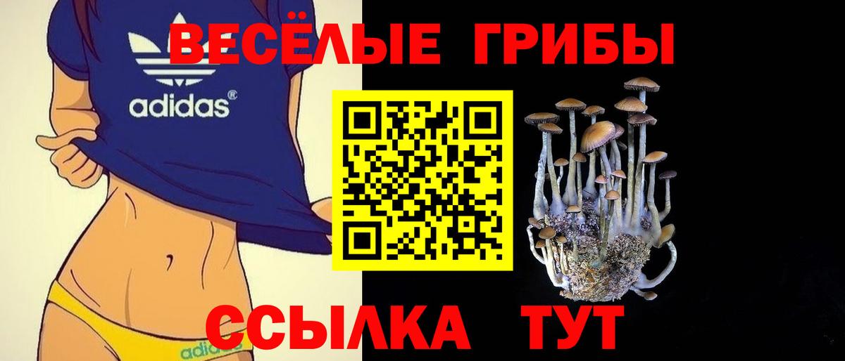 Красный Сулин  Галлюциногенные грибы мухоморы  Вход с VPN 