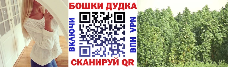 Бошки Шишки семена  Красный Сулин 