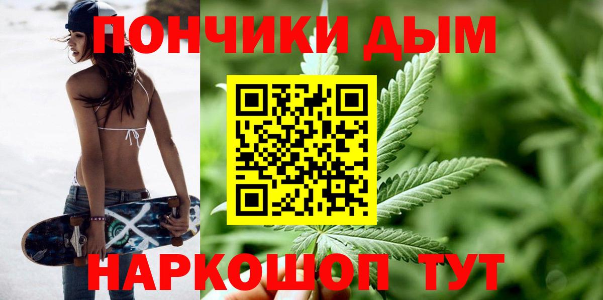Бошки Шишки сатива Красный Сулин